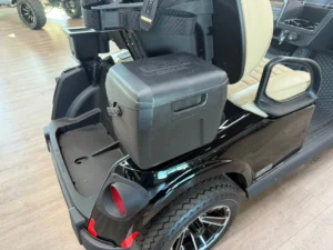 2026 E Z GO RXV 2 Golf Cart for Sale (Black)11