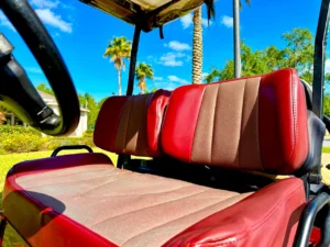 2005 ParCar Elite Eagle Golf Cart for Sale (10)
