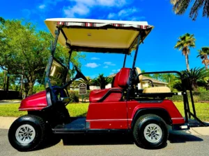 2005 ParCar Elite Eagle Golf Cart for Sale (11)