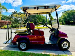 2005 ParCar Elite Eagle Golf Cart for Sale (5)