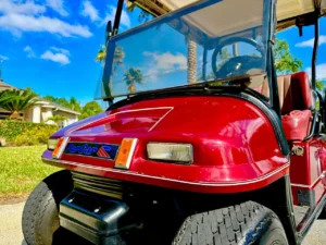 2005 ParCar Elite Eagle Golf Cart for Sale (8)