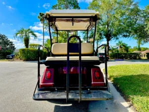 2005 ParCar Elite Eagle Golf Cart for Sale (9)