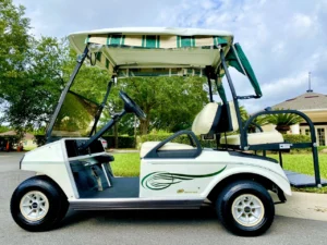 2010 Club Car DS 48V Golf Cart for Sale (4)