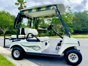 2010 Club Car DS 48V Golf Cart for Sale (9)