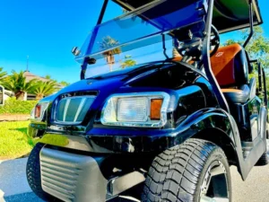 2010 Club Car Precedent Golf Cart for Sale8 (10)