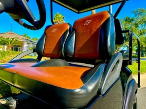 2010 Club Car Precedent Golf Cart for Sale8 (2)