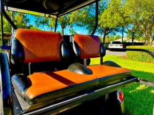 2010 Club Car Precedent Golf Cart for Sale8 (3)