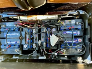 2010 Club Car Precedent Golf Cart for Sale8 (9)