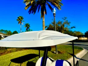 2011 Club Car Precedent Golf Cart for Sale (12)