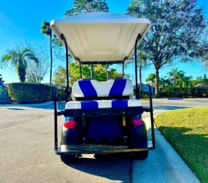2011 Club Car Precedent Golf Cart for Sale (3)