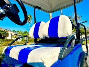 2011 Club Car Precedent Golf Cart for Sale (7)