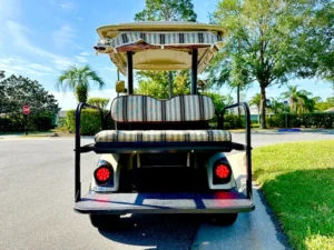 2012 Yamaha Drive G29 Golf Cart for Sale (11)