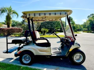 2012 Yamaha Drive G29 Golf Cart for Sale (12)