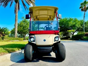 2012 Yamaha Drive G29 Golf Cart for Sale (2)