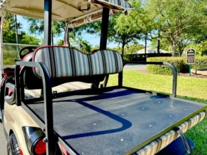 2012 Yamaha Drive G29 Golf Cart for Sale (5)