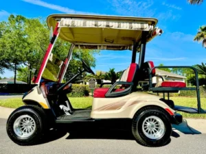 2012 Yamaha Drive G29 Golf Cart for Sale (8)