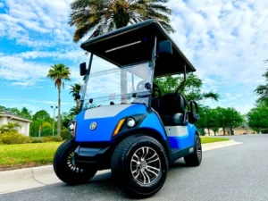2012 Yamaha Drive G29 Golf Cart for Sale (9)