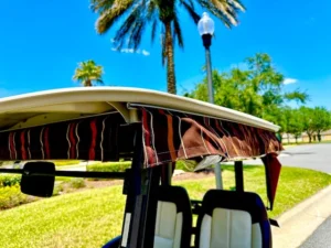 2014 Yamaha Drive G29 Golf Cart for Sale17 (12)