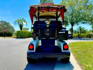 2014 Yamaha Drive G29 Golf Cart for Sale17 (3)