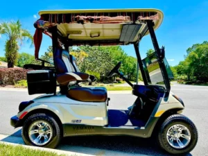2014 Yamaha Drive G29 Golf Cart for Sale17 (7)