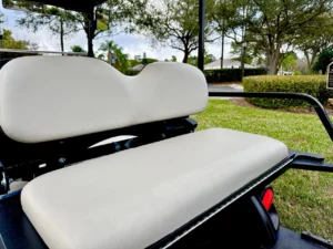 2017 Yamaha Drive 2 QuietTech Golf Cart for Sale21 (7)