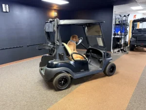 2020 Club Car Tempo Lithium 2 Passenger Golf Cart for Sale208 (2)