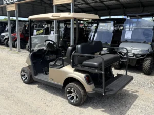 2020 E Z GO RXV Elite Lithium Golf Cart for Sale 149 (2)