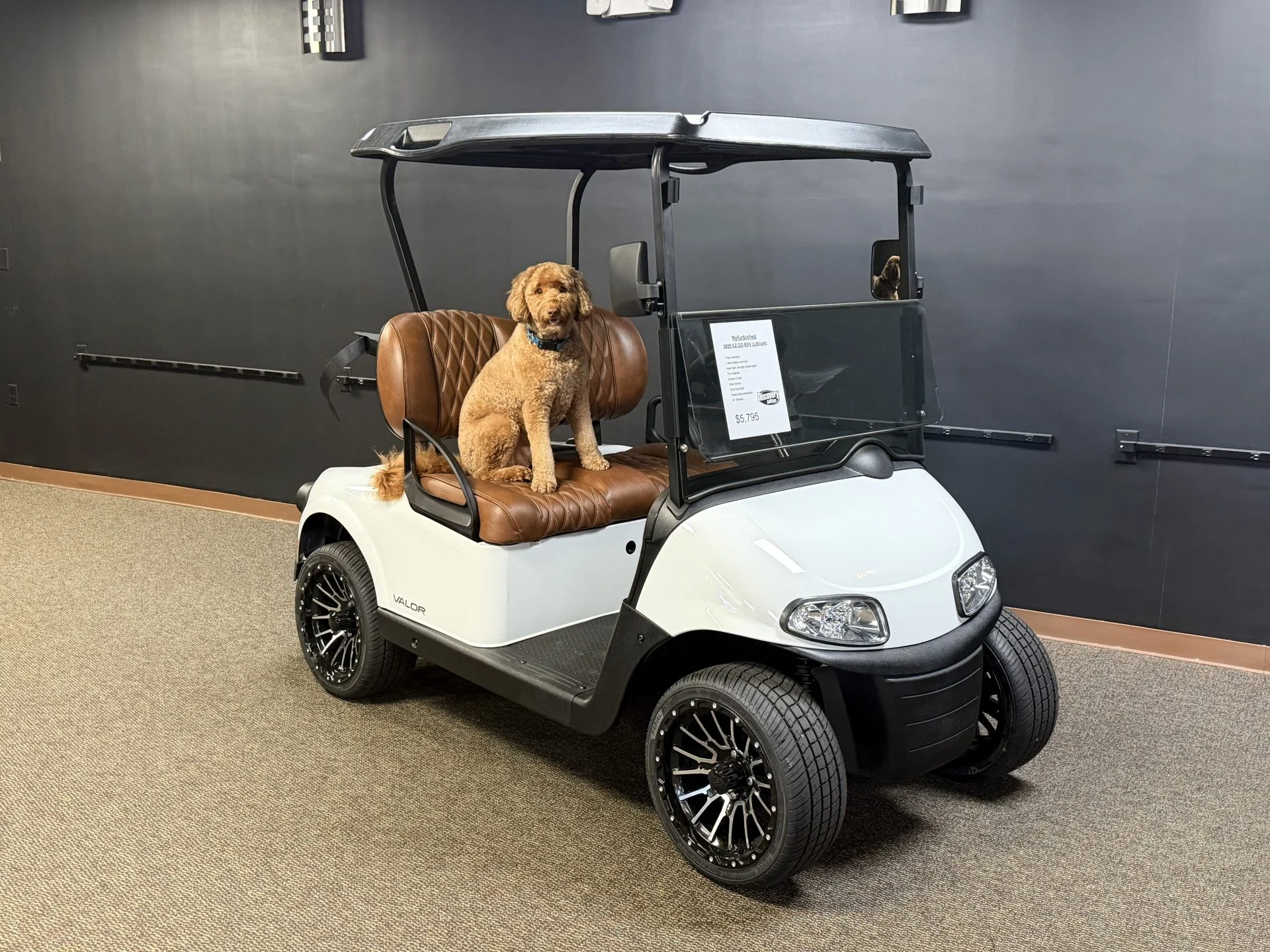 2020 E Z GO RXV Elite Lithium Golf Cart for Sale 211 (1)