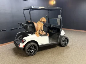 2020 E Z GO RXV Elite Lithium Golf Cart for Sale 211 (2)