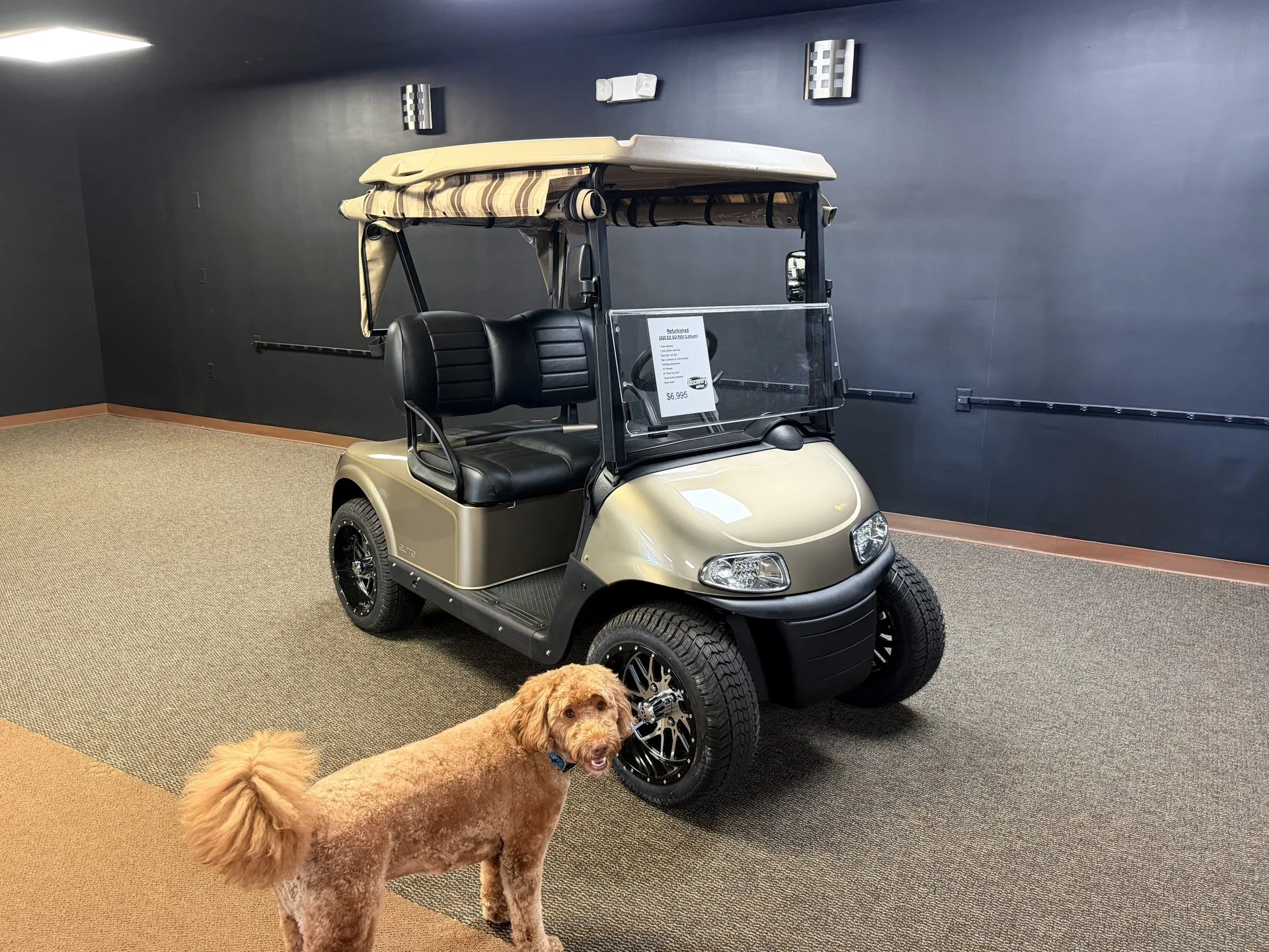 2020 E Z GO RXV Elite Lithium Golf Cart for Sale (Almond)213 (1)