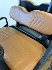 2020 E Z GO RXV Elite Lithium Golf Cart for Sale (Black) (3)