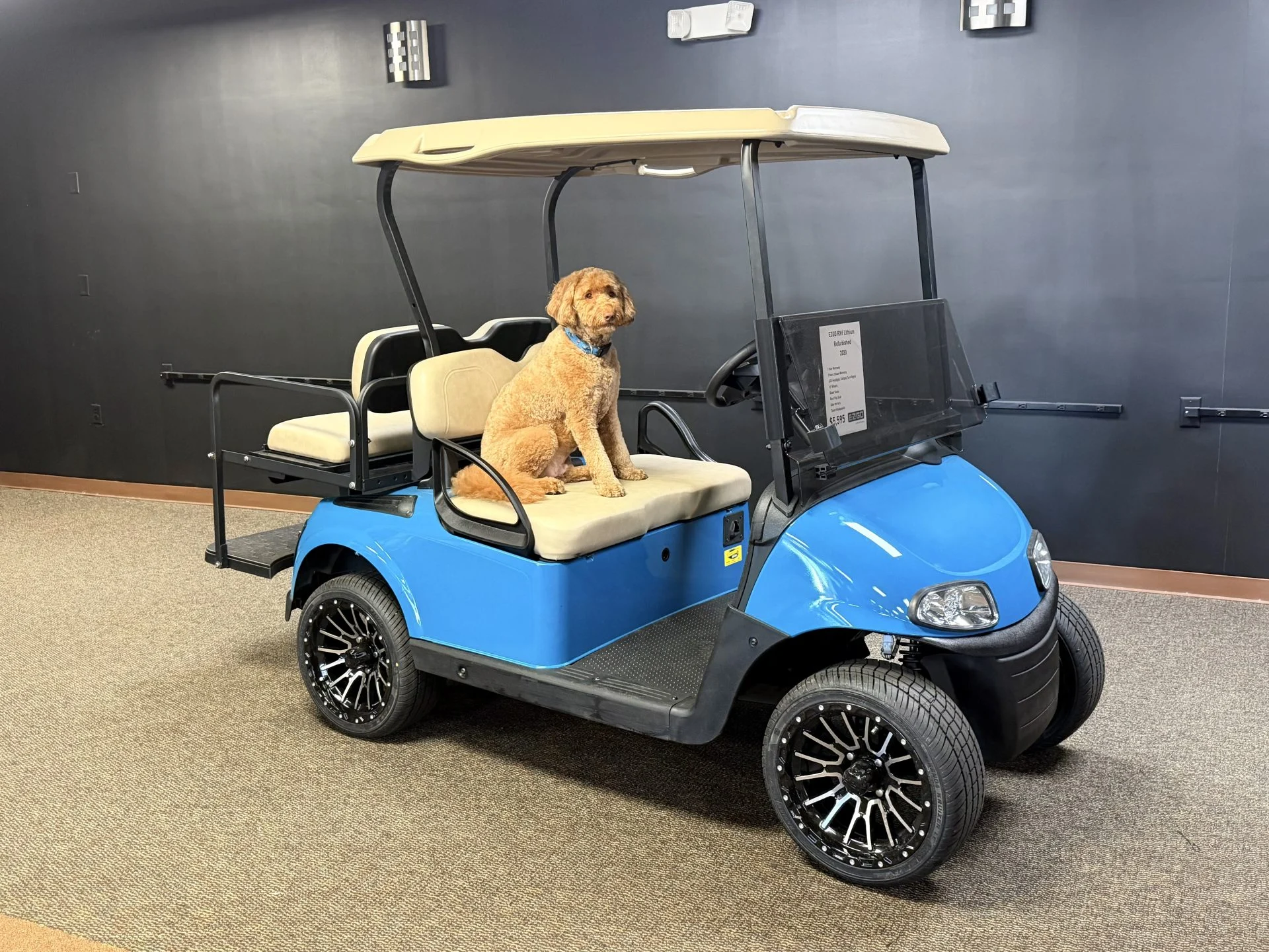 2020 E Z GO RXV Elite Lithium Golf Cart for Sale (Blue)219 (1)