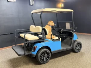 2020 E Z GO RXV Elite Lithium Golf Cart for Sale (Blue)219 (2)