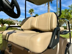 2021 Yamaha Drive 2 QuietTech Golf Cart for Sale13 (11)
