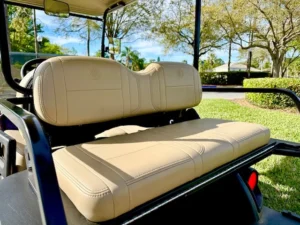 2021 Yamaha Drive 2 QuietTech Golf Cart for Sale13 (3)
