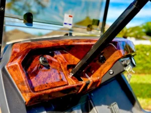 2021 Yamaha Drive 2 QuietTech Golf Cart for Sale13 (6)