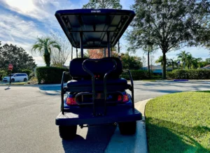 2022 Advanced EV i40L Golf Cart for Sale (3)