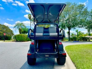 2022 Club Car Precedent Golf Cart for Sale11 (3)