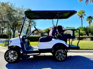2022 Gorilla G40L Lifted Golf Cart for Sale (2)