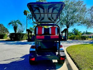 2022 Gorilla G40L Lifted Golf Cart for Sale (3)