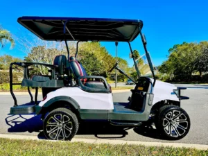 2022 Gorilla G40L Lifted Golf Cart for Sale (4)
