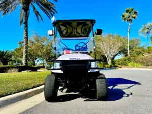 2022 Gorilla G40L Lifted Golf Cart for Sale (5)