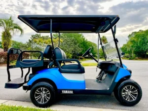 2022 Yamaha Drive 2 QuietTech Golf Cart for Sale15 (6)