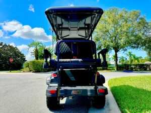 2024 Coleman Kandi 2+2 Golf Cart for Sale2 (4)