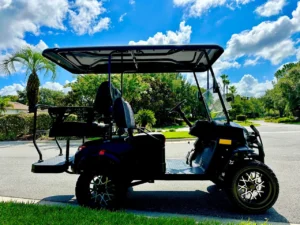 2024 Coleman Kandi 2+2 Golf Cart for Sale2 (5)