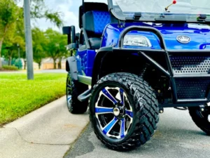 2024 Evolution Forester 4 Plus Golf Cart for Sale (6)