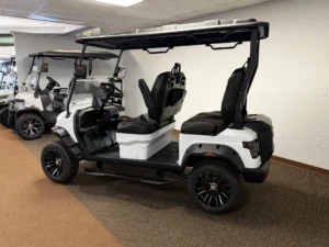 2026 Blue Cell 4F Lithium Golf Cart for Sale (2)