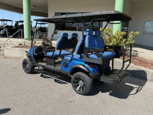 2026 Blue Cell EV Lithium Golf Cart for Sale273 (2)