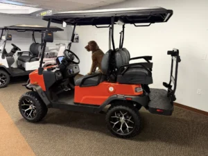 2026 Denago EV Nomad XL Golf Cart for Sale (Red)32 (2)