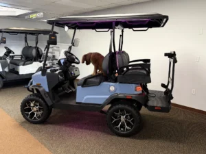 2026 Denago EV Nomad XL Golf Cart for Sale30 (2)